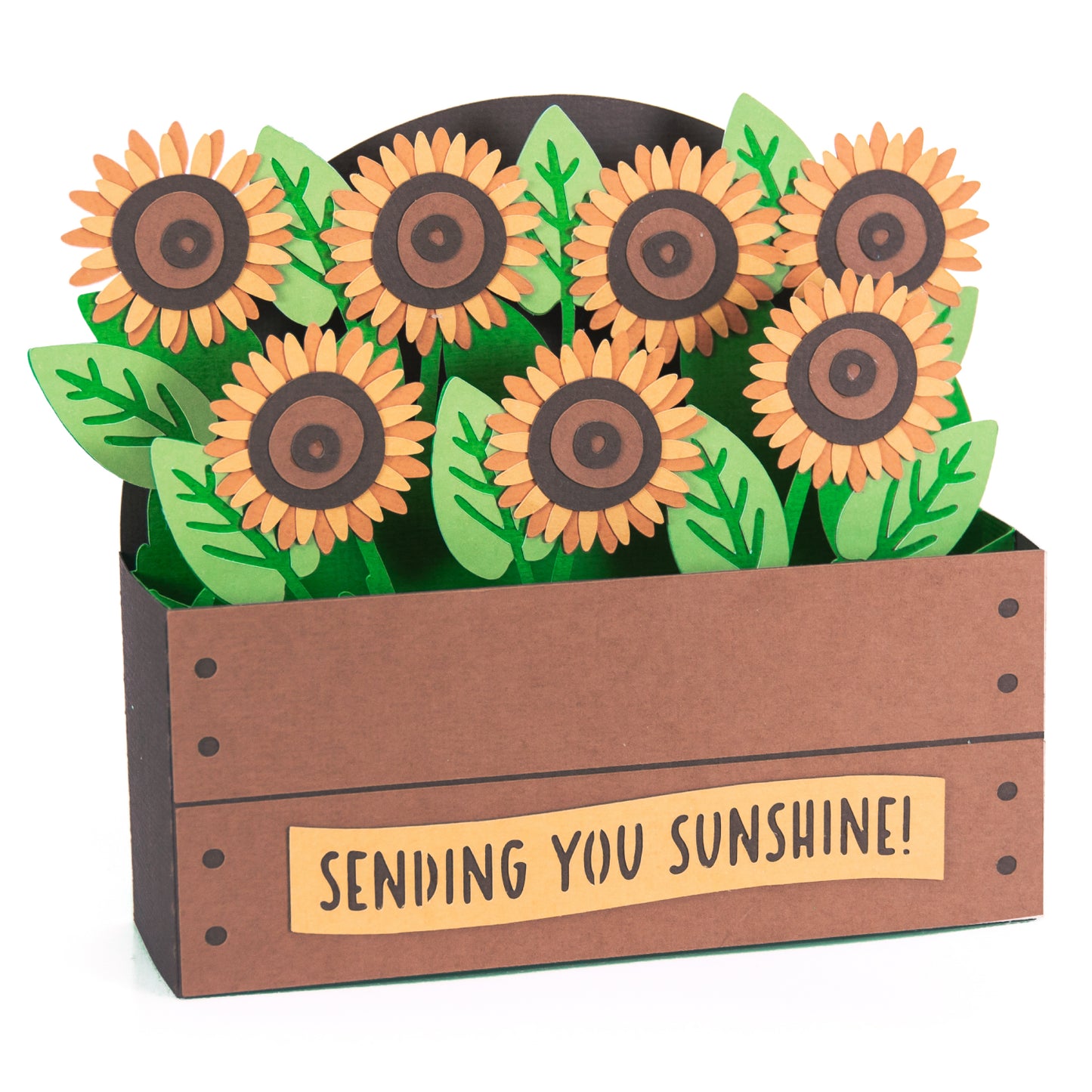 Sunflower Garden Bed Card - 3D Card SVG