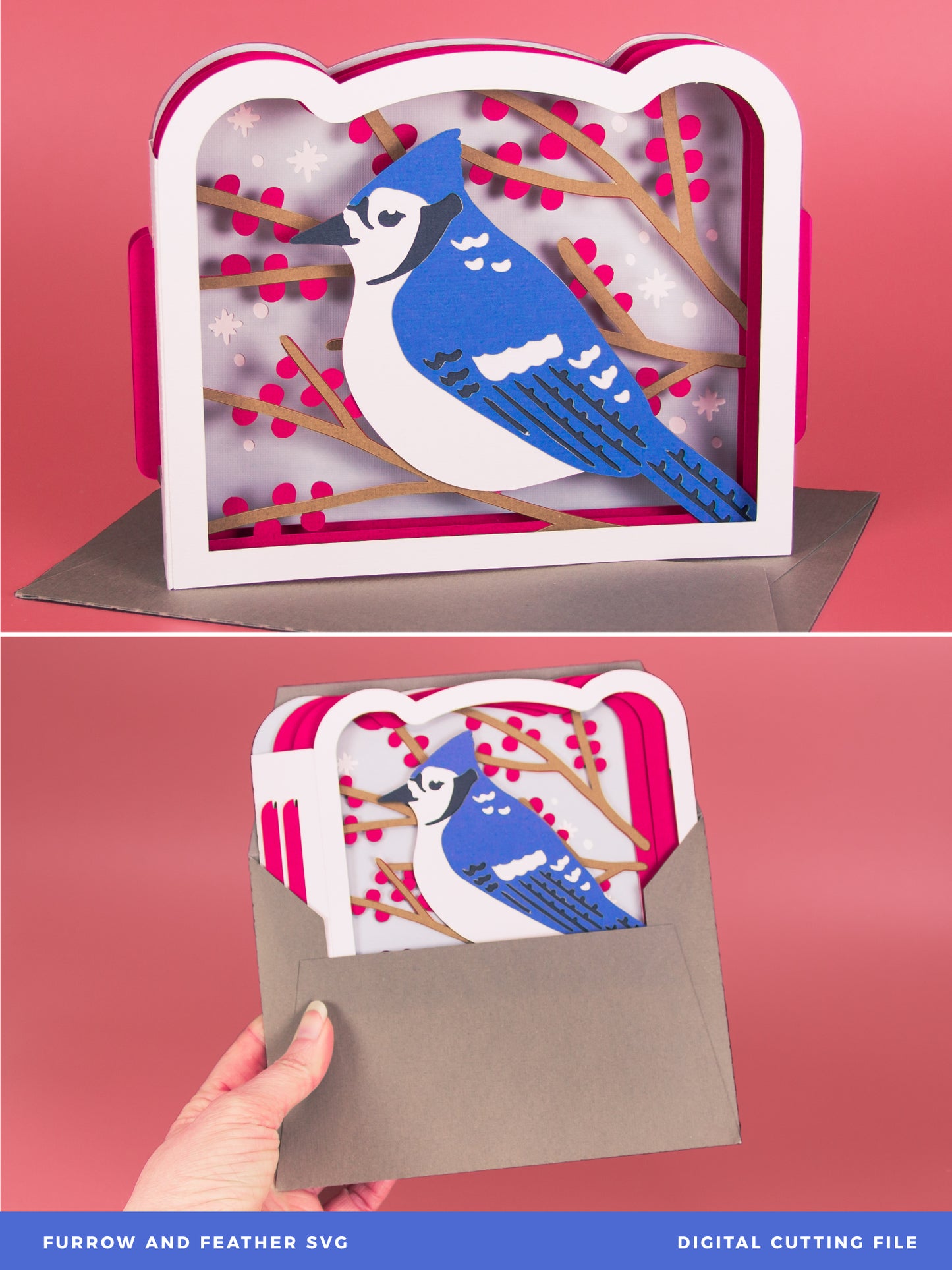 Winter Blue Jay Card - 3D Christmas Card SVG